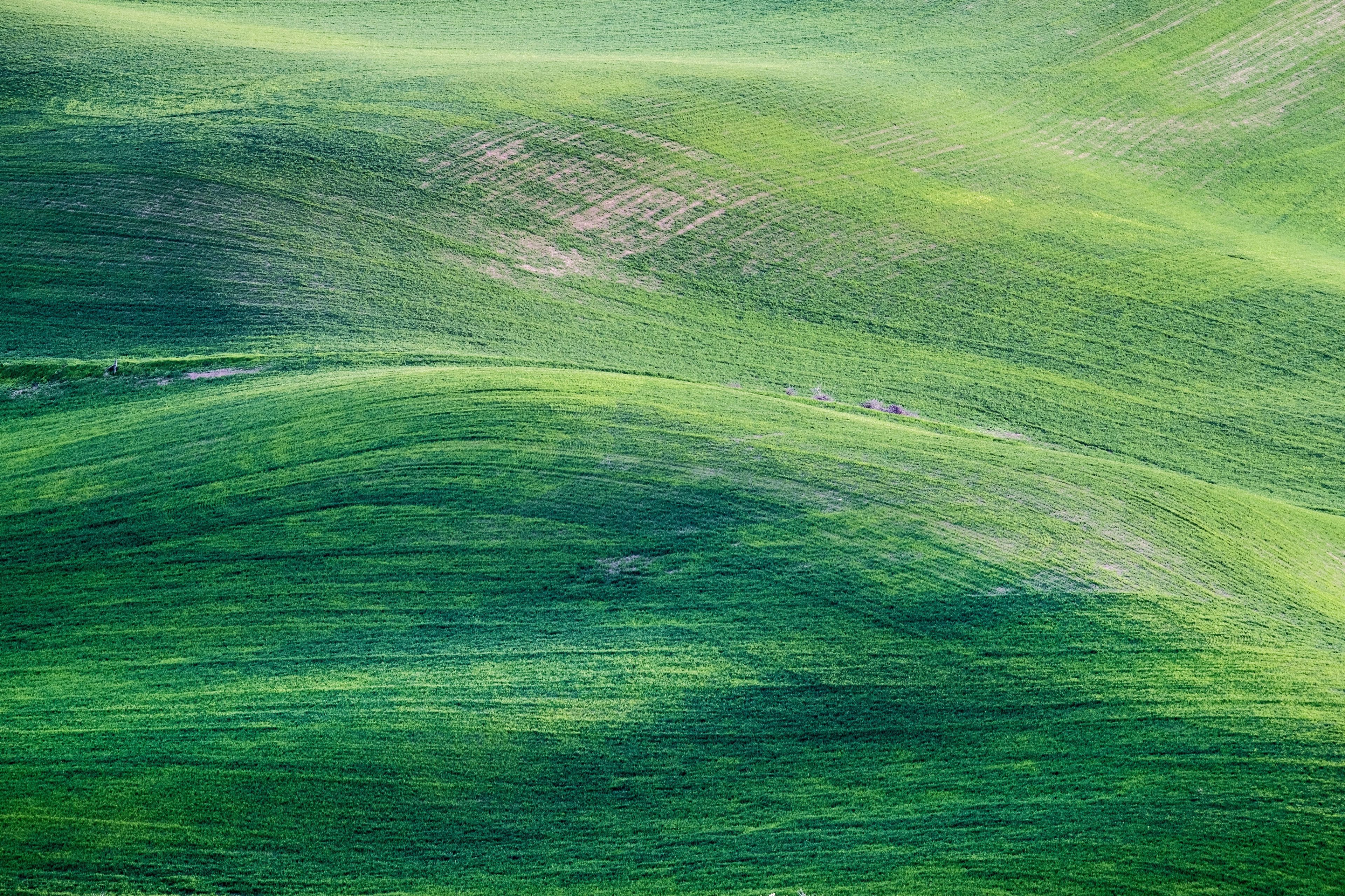 Rolling green hills 