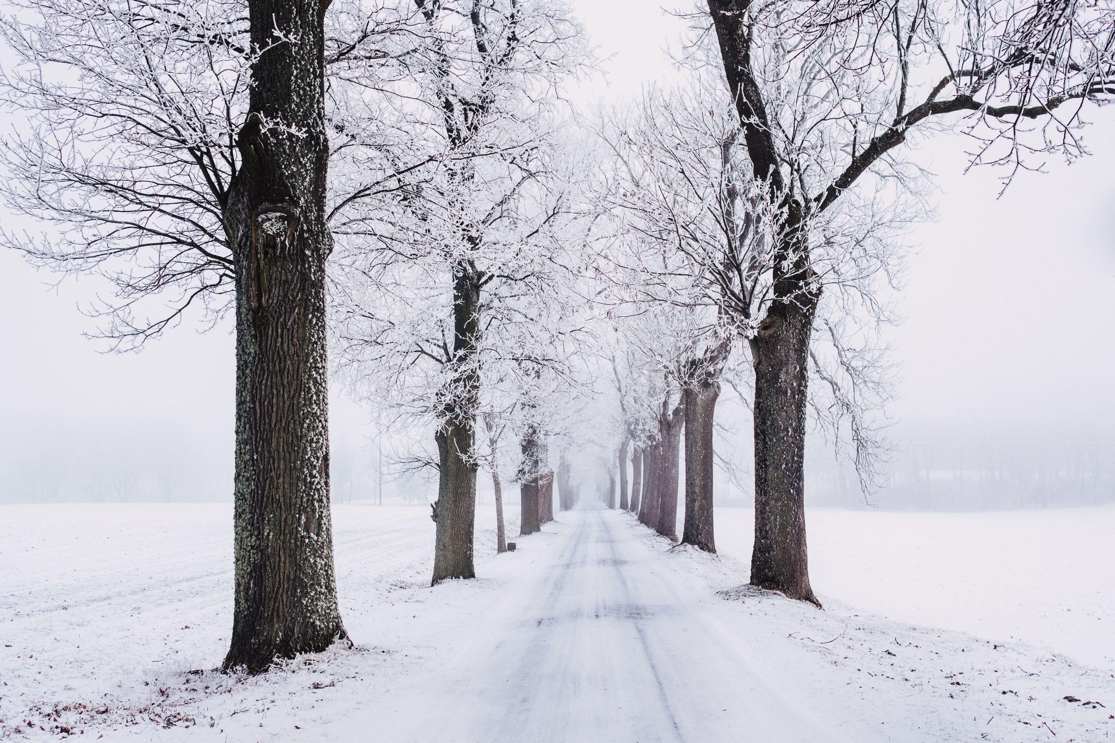 Snowy road 