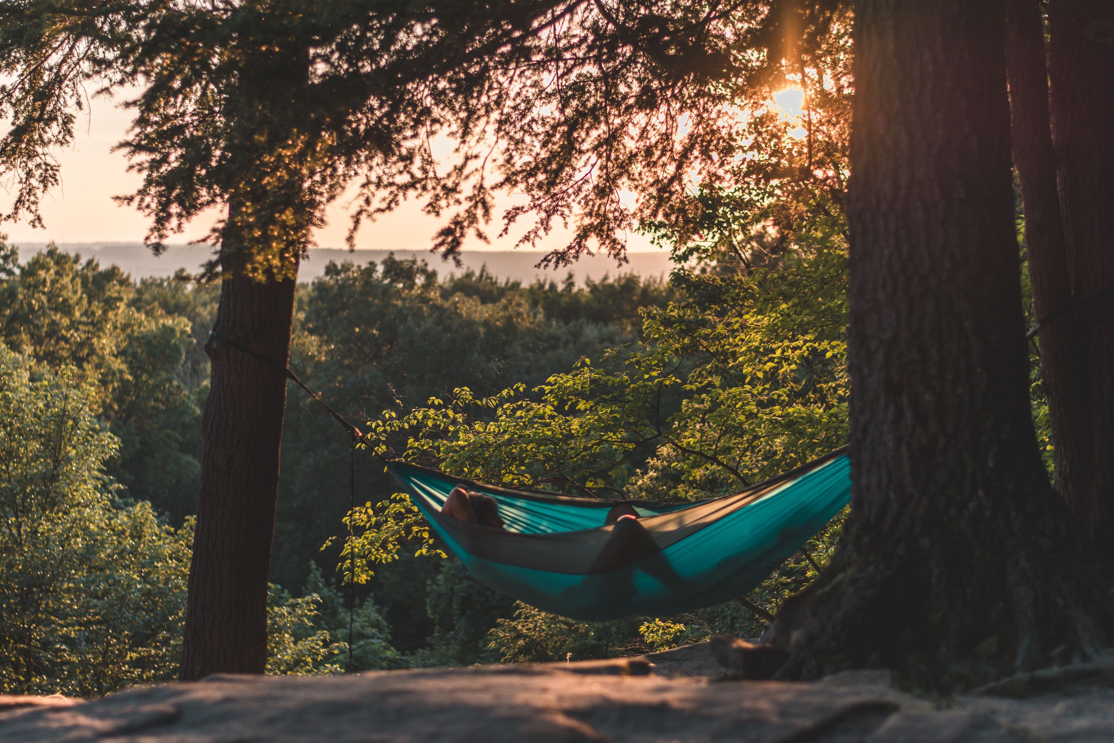 Man laying in hammock looking at sunset