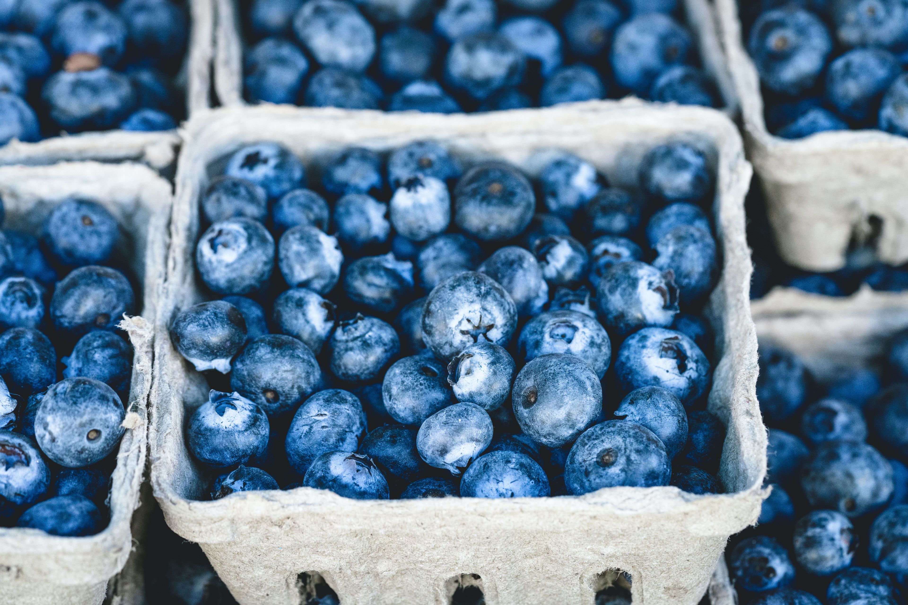 Basket of blueberries