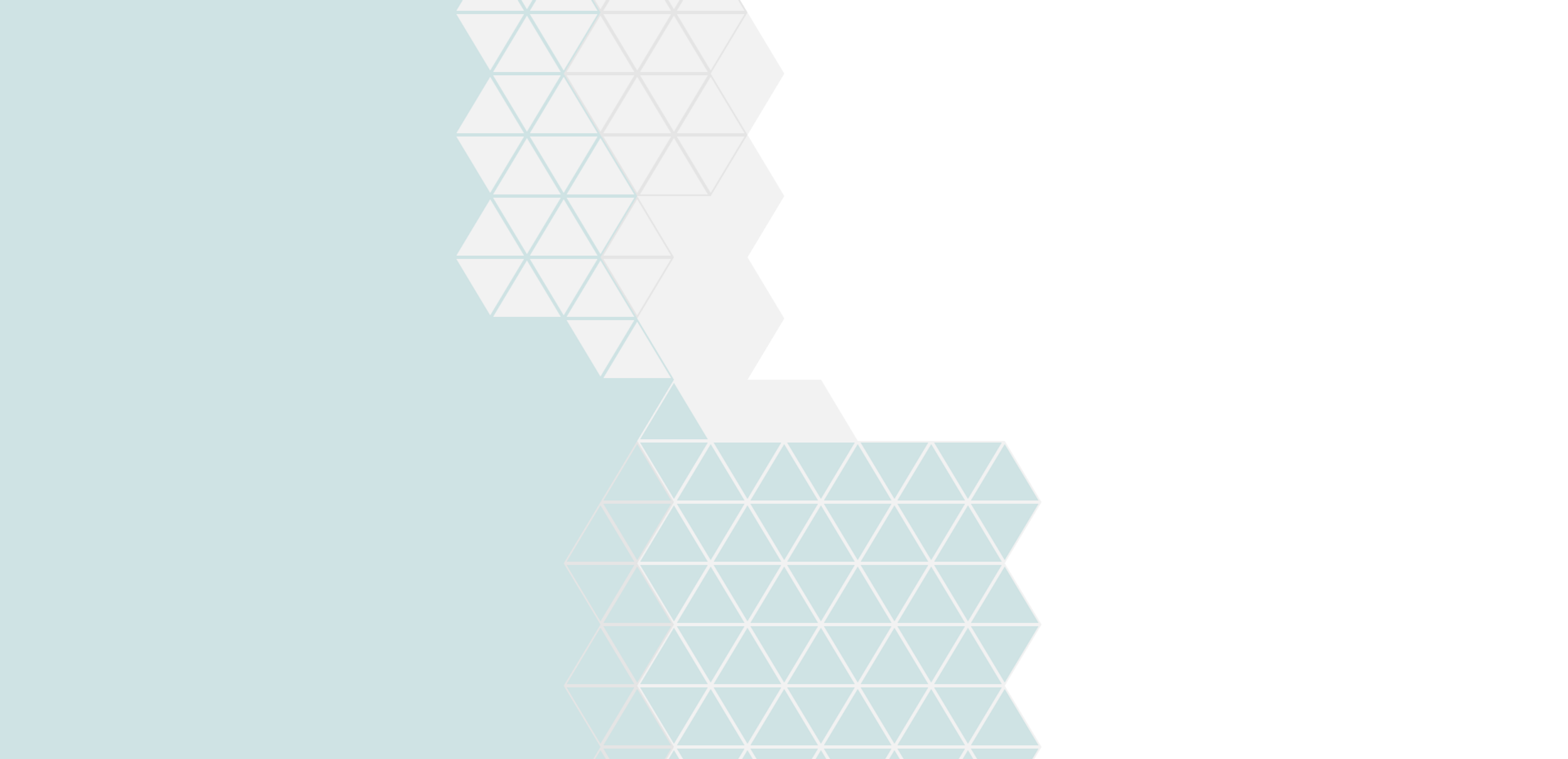 0042 nahis frontend